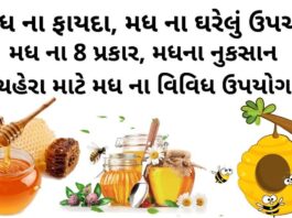 મધ ના ફાયદા - મધ ના ઘરેલું ઉપચારો - મધ ના પ્રકાર - મધના નુકસાન - Madh na fayda in Gujarati - honey benefits in Gujarati