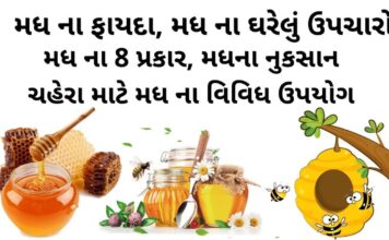 મધ ના ફાયદા | મધ ના પ્રકાર | મધ ના નુકસાન | મધ ની પરખ | મધ નો ઉપયોગ ઘરેલું ઉપચારમા મધ ના ફાયદા - મધ ના ઘરેલું ઉપચારો - મધ ના પ્રકાર - મધના નુકસાન - Madh na fayda in Gujarati - honey benefits in Gujarati