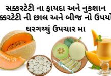 સક્કરટેટી ના ફાયદા - સક્કરટેટી ના નુકસાન - સક્કરટેટી ની છાલ અને બીજ નો ઉપયોગ ઘરગથ્થું ઉપચાર મા - sakar teti na fayda - Muskmelon benefits in Gujarati