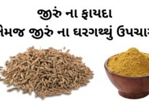 Jiru na Fayda in Gujarati - Health benefits of cumin seeds in Gujarati - જીરું ના ફાયદા - જીરું ખાવાના ફાયદા - jiru khavana fayda - જીરા નું પાણી બનાવવાની રીત