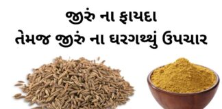 Jiru na Fayda in Gujarati - Health benefits of cumin seeds in Gujarati - જીરું ના ફાયદા - જીરું ખાવાના ફાયદા - jiru khavana fayda - જીરા નું પાણી બનાવવાની રીત