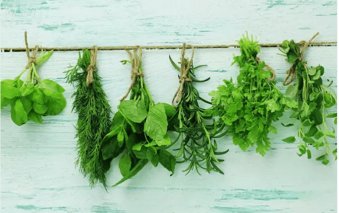 Herbs for immunity
