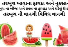 તરબૂચ ના ફાયદા - તરબૂચ ખાવાના ફાયદા અને નુકસાન - તરબૂચ ના બીજ અને છાલ ના ફાયદા - તરબૂચ ની વાનગી - Watermelon benefits in Gujarati - Tarbuch na fayda