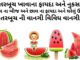 તરબૂચ ના ફાયદા - તરબૂચ ખાવાના ફાયદા અને નુકસાન - તરબૂચ ના બીજ અને છાલ ના ફાયદા - તરબૂચ ની વાનગી - Watermelon benefits in Gujarati - Tarbuch na fayda