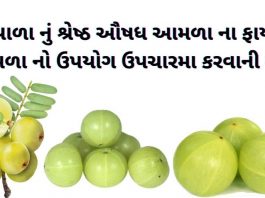 આમળા ખાવાના ફાયદા - આમળા નો ઉપયોગ - આમળા ના ફાયદા - amda na fayda - આમળા વિશે માહિતી - amda no upyog