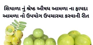 આમળા ખાવાના ફાયદા - આમળા નો ઉપયોગ - આમળા ના ફાયદા - amda na fayda - આમળા વિશે માહિતી - amda no upyog