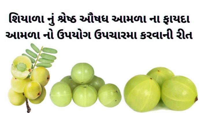 આમળા ખાવાના ફાયદા - આમળા નો ઉપયોગ - આમળા ના ફાયદા - amda na fayda - આમળા વિશે માહિતી - amda no upyog