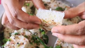 Faradi dhokra Recipe - farali dhokla recipe in Gujarati - ફરાળી ઢોકળા બનાવવાની રીત