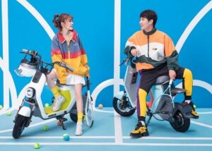 xiaomi New ninebot c30 Electric Scooter