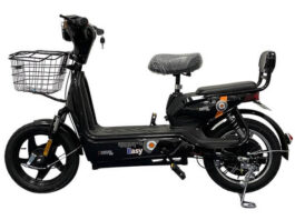 Detel Easy Electric Scooter