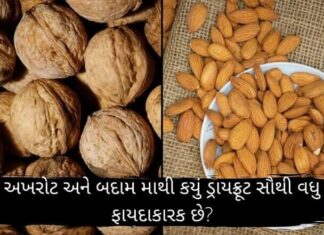 અખરોટ અને બદામ માથી કયું ડ્રાયફ્રૂટ સૌથી વધુ ફાયદાકારક છે? – dry fruit અખરોટ અને બદામ માથી કયું ડ્રાયફ્રૂટ સૌથી વધુ ફાયદાકારક છે - dry fruit