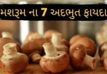 Mashroom na Fayda - મશરૂમ ના ફાયદા - mushroom 7 Benefits
