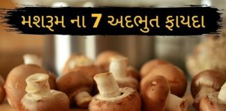 Mashroom na Fayda - મશરૂમ ના ફાયદા - mushroom 7 Benefits