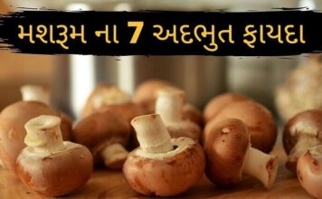 મશરૂમ ના 7 અદભુત ફાયદા – Mashroom na Fyada Mashroom na Fayda - મશરૂમ ના ફાયદા - mushroom 7 Benefits