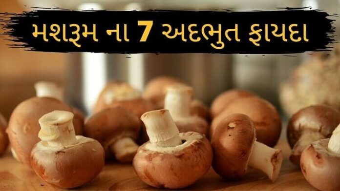 Mashroom na Fayda - મશરૂમ ના ફાયદા - mushroom 7 Benefits