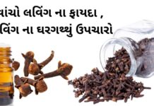 Laving na Fayda in Gujarati- લવિંગ ના ફાયદા - health benefits of Cloves in Gujarati