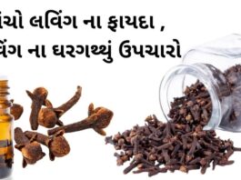 Laving na Fayda in Gujarati- લવિંગ ના ફાયદા - health benefits of Cloves in Gujarati