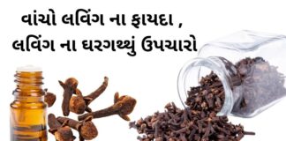 Laving na Fayda in Gujarati- લવિંગ ના ફાયદા - health benefits of Cloves in Gujarati