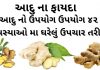 આદુ ના ફાયદા - આદુ નો ઉપયોગ - આદુ ખાવાના ફાયદા - aadu na fayda - Ginger Benefits in Gujarati - Aadu na Fayda in Gujarati