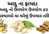 આદુ ના ફાયદા | આદુ નો ઉપયોગ ઘરેલું ઉપચારમા | Aadu na Fayda આદુ ના ફાયદા - આદુ નો ઉપયોગ - આદુ ખાવાના ફાયદા - aadu na fayda - Ginger Benefits in Gujarati - Aadu na Fayda in Gujarati