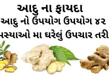 આદુ ના ફાયદા - આદુ નો ઉપયોગ - આદુ ખાવાના ફાયદા - aadu na fayda - Ginger Benefits in Gujarati - Aadu na Fayda in Gujarati
