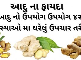 આદુ ના ફાયદા - આદુ નો ઉપયોગ - આદુ ખાવાના ફાયદા - aadu na fayda - Ginger Benefits in Gujarati - Aadu na Fayda in Gujarati