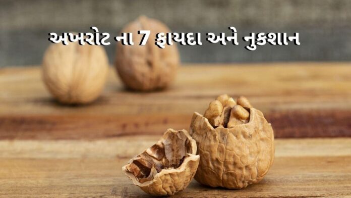 Akhrot na Fayda in Gujarati -- અખરોટ ના ફાયદા - Akhrot benefits in Gujarati - Akhrot nukshan in Gujarati