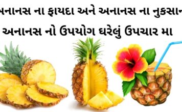 અનાનસ ના ફાયદા | ઘરેલું ઉપચાર મા અનાનસ નો ઉપયોગ | અનાનસ ના નુકસાન Ananas na fayda in Gujarati - Pineapple na fayda in Gujarati - અનાનસ ના ફાયદા - પાઈનેપલ ના ફાયદા - Pineapple juice fayda