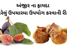 Anjir na Fayda in Gujarati - અંજીર ના ફાયદા - Anjir Health Benefits in Gujarati - Fig Health benefits in Gujarati