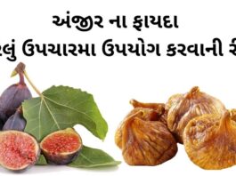 Anjir na Fayda in Gujarati - અંજીર ના ફાયદા - Anjir Health Benefits in Gujarati - Fig Health benefits in Gujarati