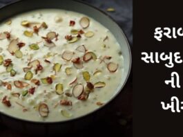 Farali Sabudana Kheer Recipe in Gujarati - Faradi Sabudana khir Recipe In Gujarati - ફરાળી સાબુદાણા ની ખીર