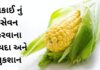 Makai na Fayda in Gujarati - મકાઈ ના ફાયદા - makai health benefits in Gujarati - Corn health benefits in Gujarati