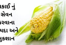 Makai na Fayda in Gujarati - મકાઈ ના ફાયદા - makai health benefits in Gujarati - Corn health benefits in Gujarati