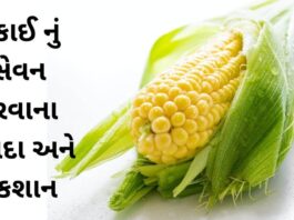 Makai na Fayda in Gujarati - મકાઈ ના ફાયદા - makai health benefits in Gujarati - Corn health benefits in Gujarati