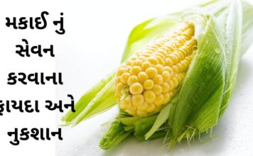 મકાઈ નું સેવન કરવાના 10 ફાયદા અને નુકશાન | Makai Na Fayda Makai na Fayda in Gujarati - મકાઈ ના ફાયદા - makai health benefits in Gujarati - Corn health benefits in Gujarati