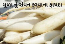 Mula na fayda in Gujarati - મૂળા ના ફાયદા - Mula Health benefits in Gujarati