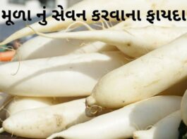 Mula na fayda in Gujarati - મૂળા ના ફાયદા - Mula Health benefits in Gujarati