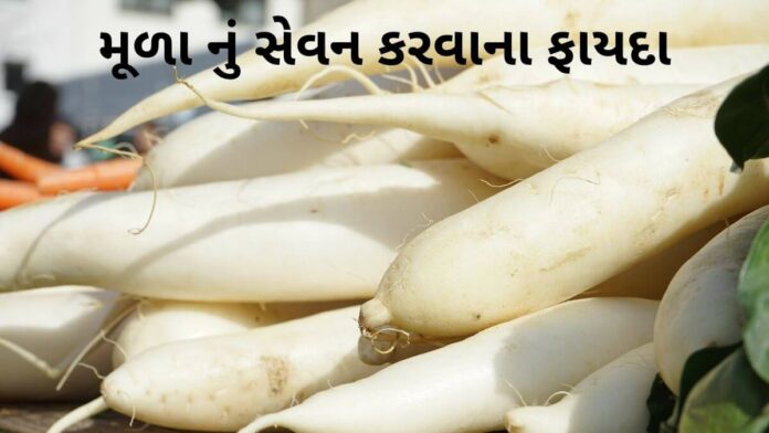 Mula na fayda in Gujarati - મૂળા ના ફાયદા - Mula Health benefits in Gujarati