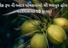 Nariyel na Fayda in Gujarati - નારીયેલ ના ફાયદા - coconut Benefits in Gujarati - નારીયલ ના ફાયદા - Nariyal na fayda - coconut milk