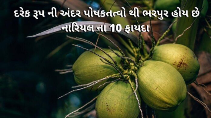 Nariyel na Fayda in Gujarati - નારીયેલ ના ફાયદા - coconut Benefits in Gujarati - નારીયલ ના ફાયદા - Nariyal na fayda - coconut milk