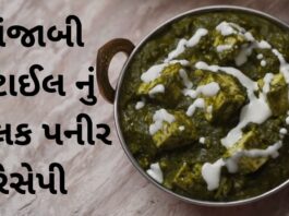 Palak Paneer Recipe in Gujarati - Palak Paneer Recipe - Panjabi style Palak Paneer Recipe - પાલક પનીર રેસીપી