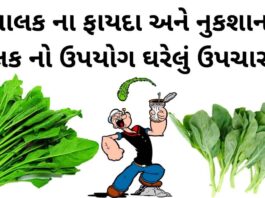 Palak fayda in Gujarati - પાલક ના ફાયદા - પાલક ના નુકશાન - Palak na Fayda in Gujarati - Palak benefits in Gujarati
