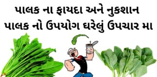 Palak fayda in Gujarati - પાલક ના ફાયદા - પાલક ના નુકશાન - Palak na Fayda in Gujarati - Palak benefits in Gujarati