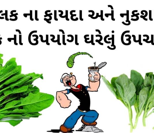 Palak fayda in Gujarati - પાલક ના ફાયદા - પાલક ના નુકશાન - Palak na Fayda in Gujarati - Palak benefits in Gujarati
