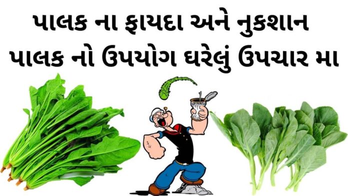 Palak fayda in Gujarati - પાલક ના ફાયદા - પાલક ના નુકશાન - Palak na Fayda in Gujarati - Palak benefits in Gujarati