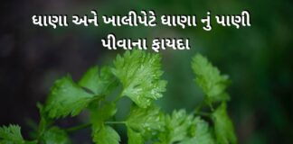 dhana na fayda in gujarati - Dhana na fayda - ધાણા ના ફાયદા - ધાણા નું પાણી પીવાના ફાયદા - Dhana nu Pani piva na Fayda - ધાણા નું પાણી ફાયદા