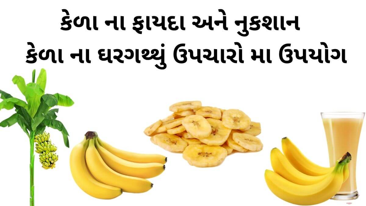 kela na fayda in Gujarati - કેળા ના ફાયદા - કેળા ના નુકશાન - કેળા ના નુસખા - benefits of banana in gujarati