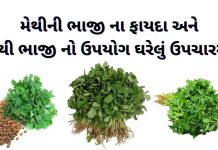 મેથીની ભાજી ના ફાયદા | મેથી ના ફાયદા | methi na fayda | methi bhaji na fayda મેથી ના ફાયદા - મેથીની ભાજી ના ફાયદા - મેથી ભાજી નો ઉપયોગ - methi na fayda in gujarati - methi na fayda gujarati ma - methi no upyog - methi bhaji na fayda gujarati ma