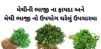 મેથી ના ફાયદા - મેથીની ભાજી ના ફાયદા - મેથી ભાજી નો ઉપયોગ - methi na fayda in gujarati - methi na fayda gujarati ma - methi no upyog - methi bhaji na fayda gujarati ma