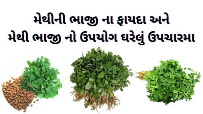 મેથી ના ફાયદા - મેથીની ભાજી ના ફાયદા - મેથી ભાજી નો ઉપયોગ - methi na fayda in gujarati - methi na fayda gujarati ma - methi no upyog - methi bhaji na fayda gujarati ma